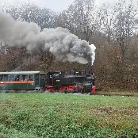 Liget Vendeghaz Szokolya