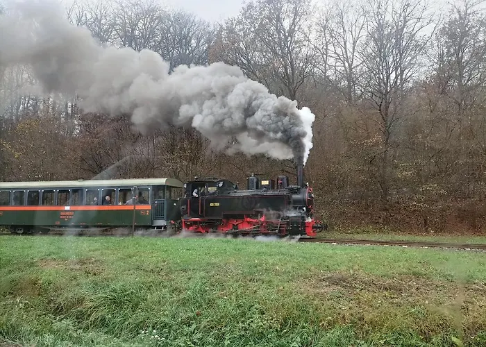 Liget Vendeghaz Szokolya